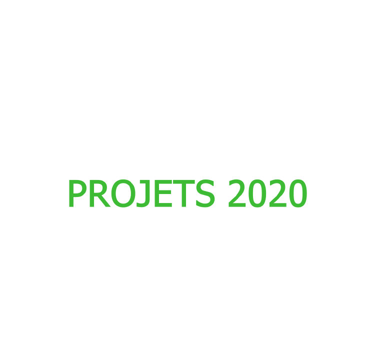 Mes projets pour 2020