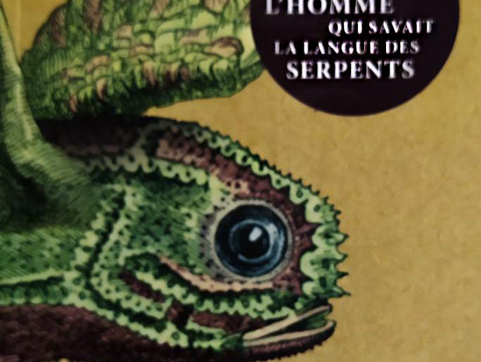 Couverture du livre représentant une salamandre.